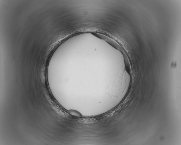 X0000096430345200802211152