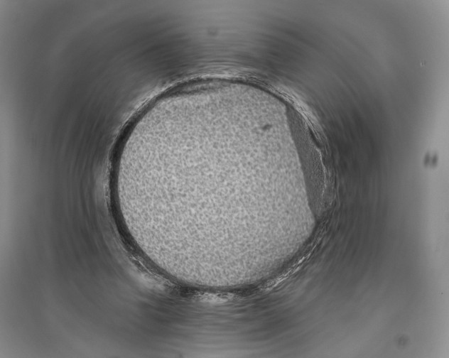 X0000096430346200802211152