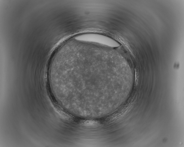 X0000096430348200802211152