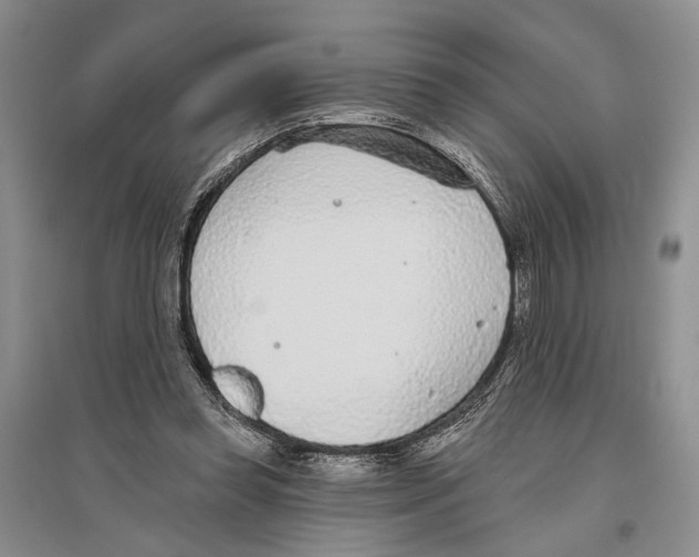 X0000096430349200802211152