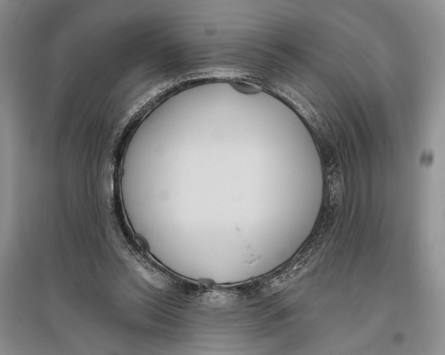 X0000096430350200802211152