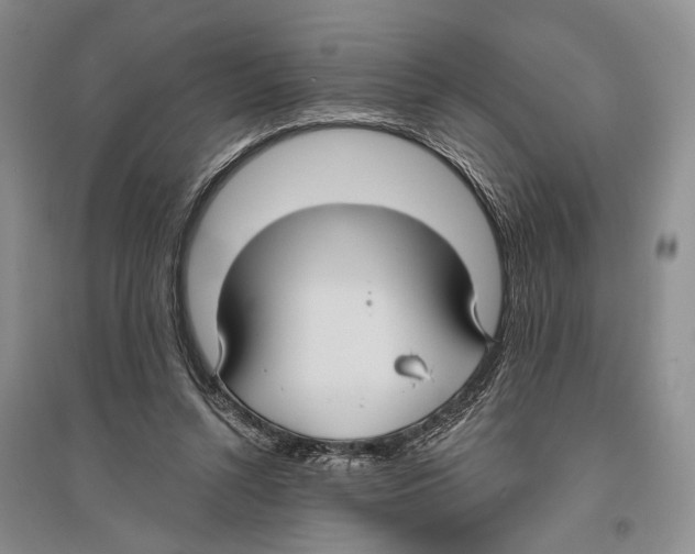 X0000096430352200802211152