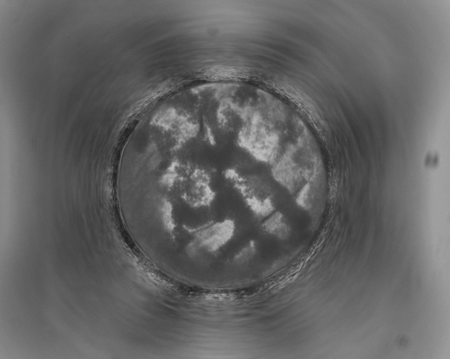 X0000096430353200802211152