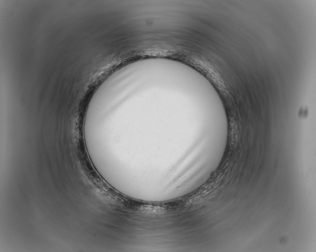 X0000096430354200802211152