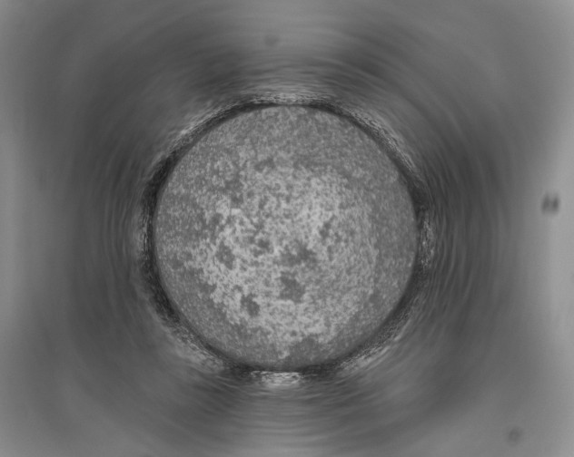 X0000096430355200802211152