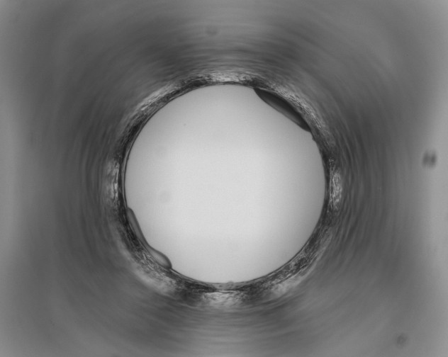 X0000096430356200802211152