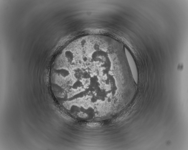 X0000096430357200802211152
