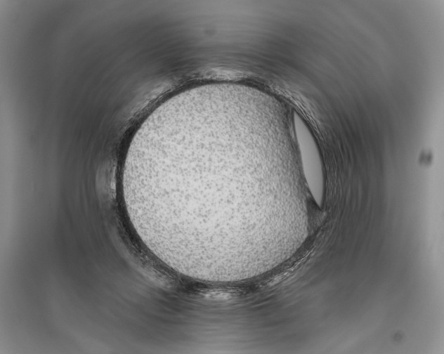 X0000096430358200802211152