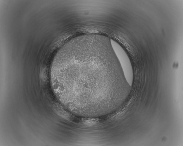 X0000096430359200802211152