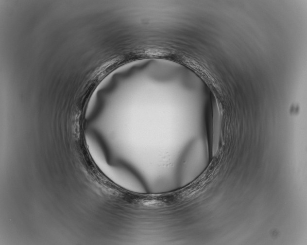 X0000096430360200802211152