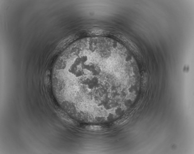 X0000096430361200802211152