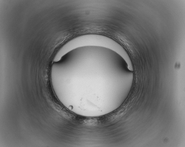 X0000096430362200802211152