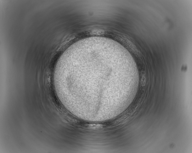 X0000096430363200802211152