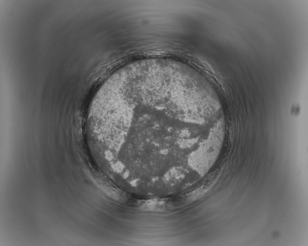 X0000096430366200802211152