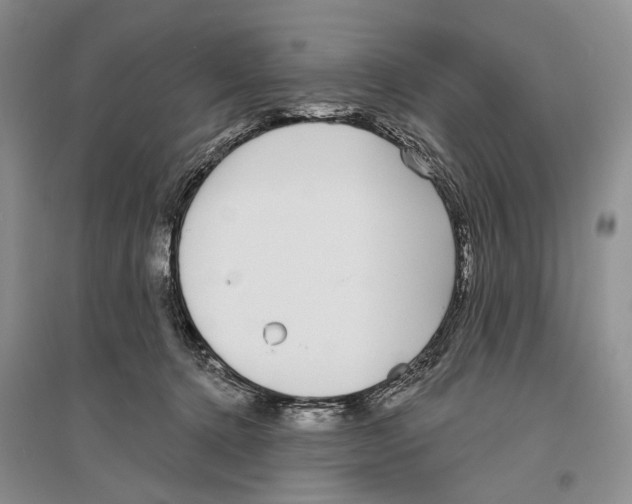X0000096430368200802211152