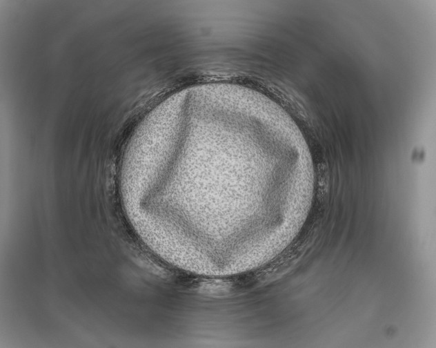 X0000096430369200802211152