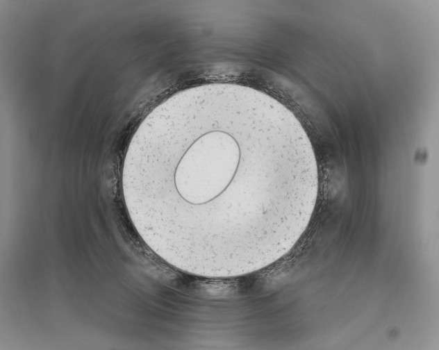 X0000096430370200802211152