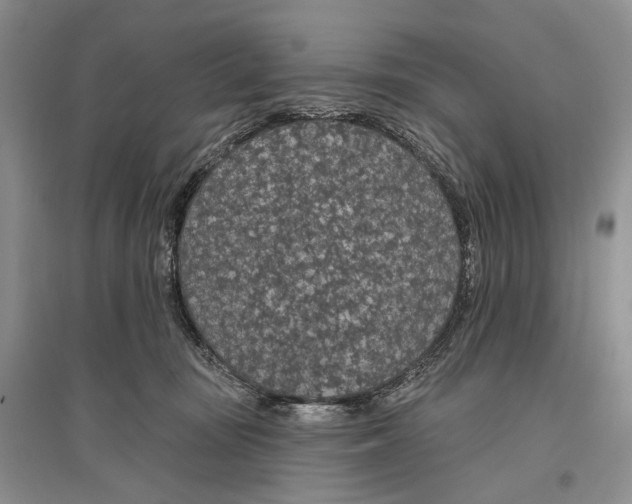 X0000096430371200802211152