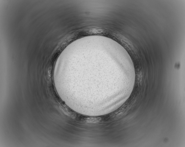 X0000096430373200802211153
