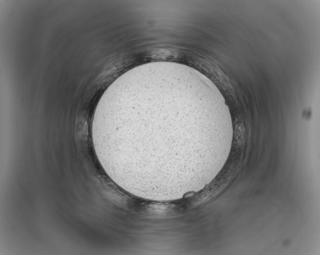 X0000096430375200802211153