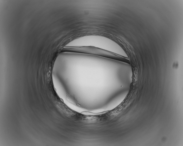 X0000096430376200802211153
