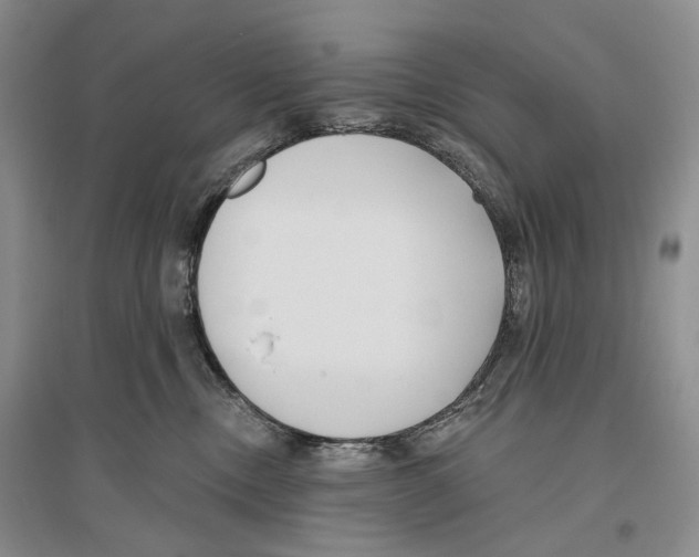 X0000096430378200802211153