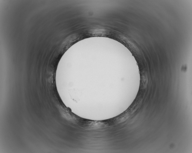 X0000096430379200802211153