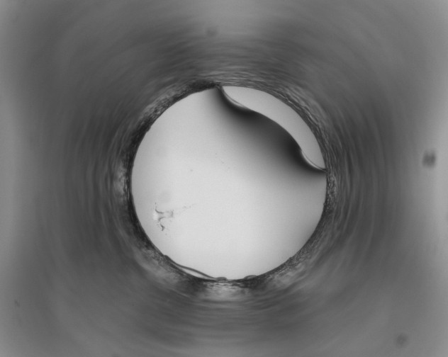 X0000096430380200802211153