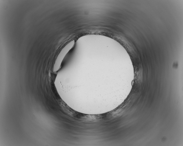 X0000096430381200802211153