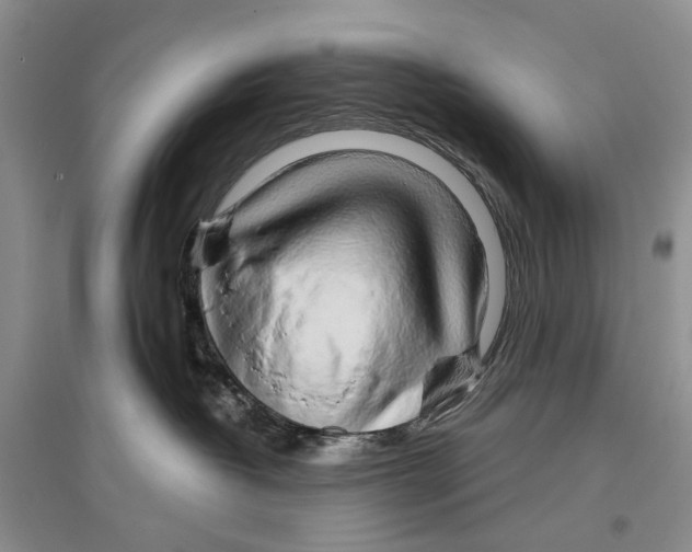 X0000096430382200802211153