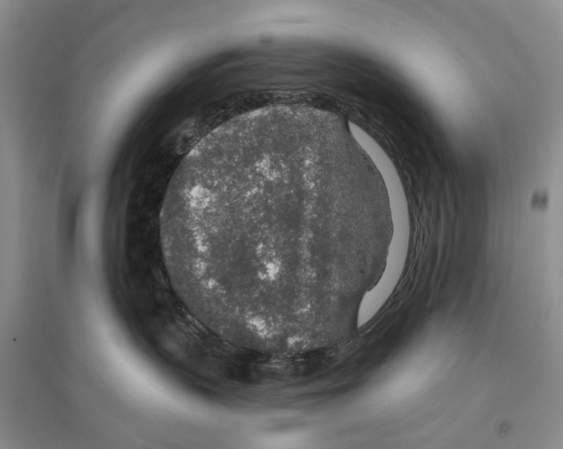 X0000096430383200802211153