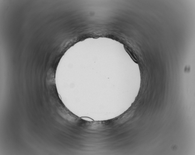 X0000096430384200802211153