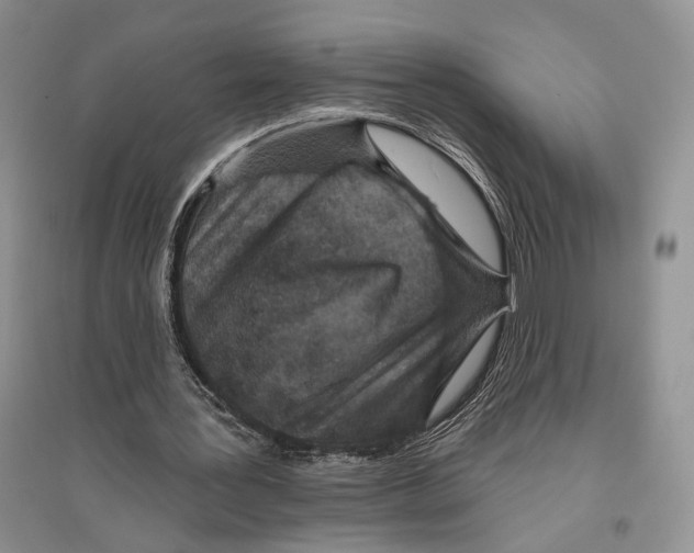 X0000096430387200802211152