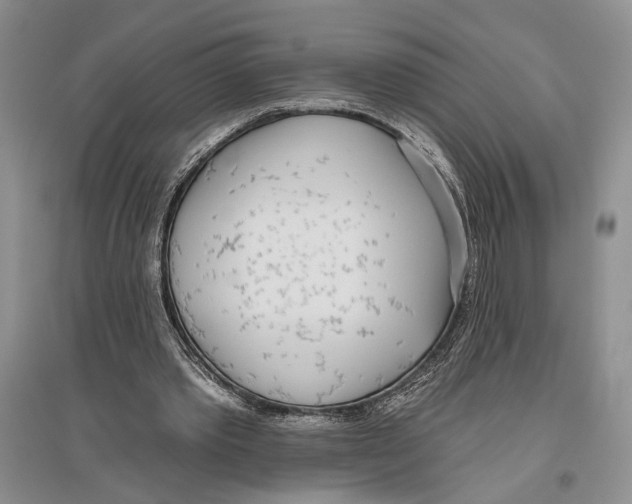 X0000096430389200802211152