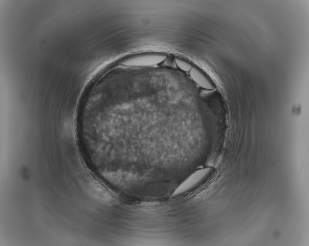 X0000096430391200802211152