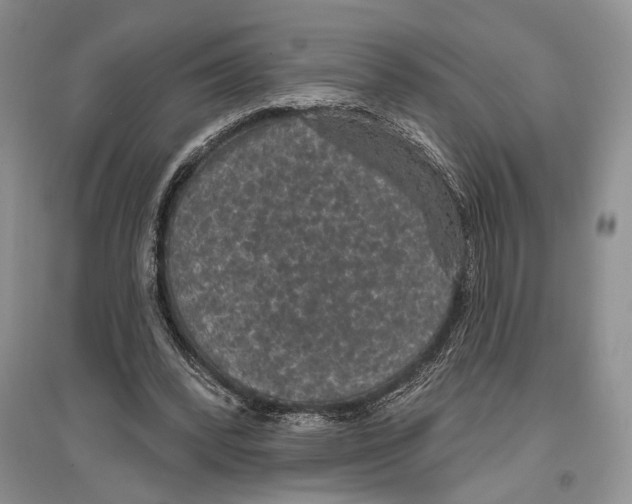 X0000096430392200802211152