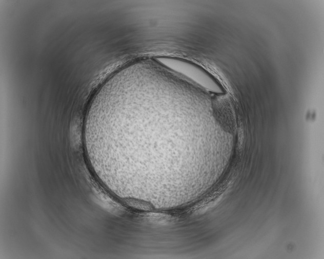 X0000096430393200802211152