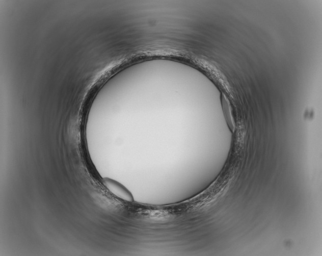 X0000096430395200802211152