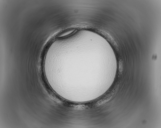 X0000096430396200802211152