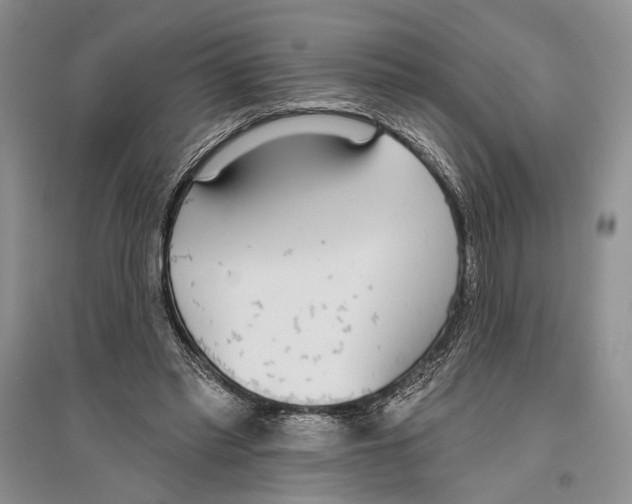 X0000096430397200802211152