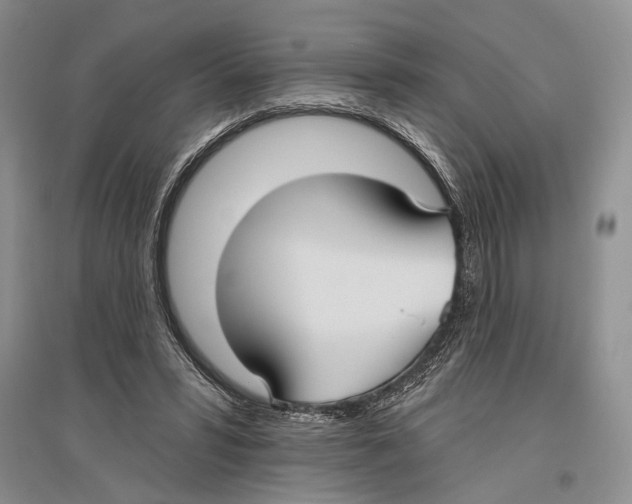 X0000096430399200802211152