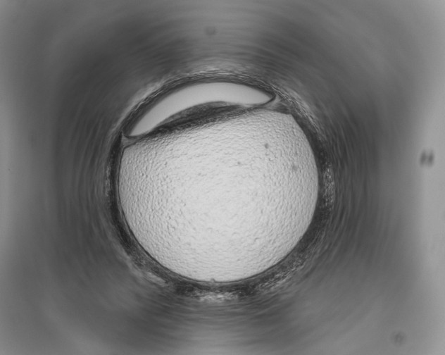X0000096430400200802211152