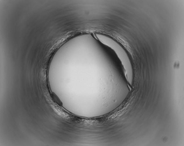X0000096430401200802211152
