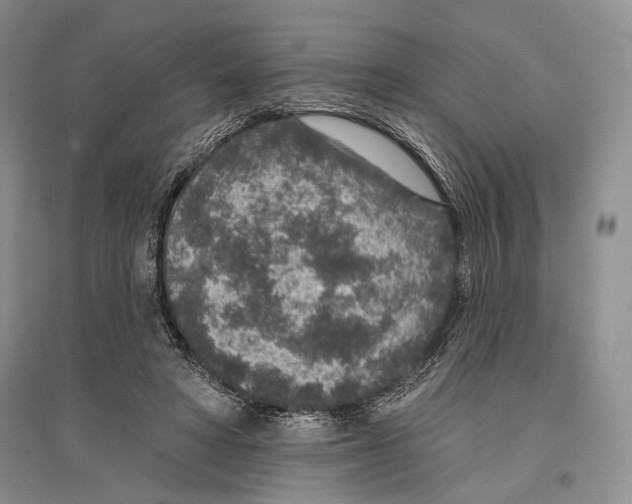 X0000096430402200802211152