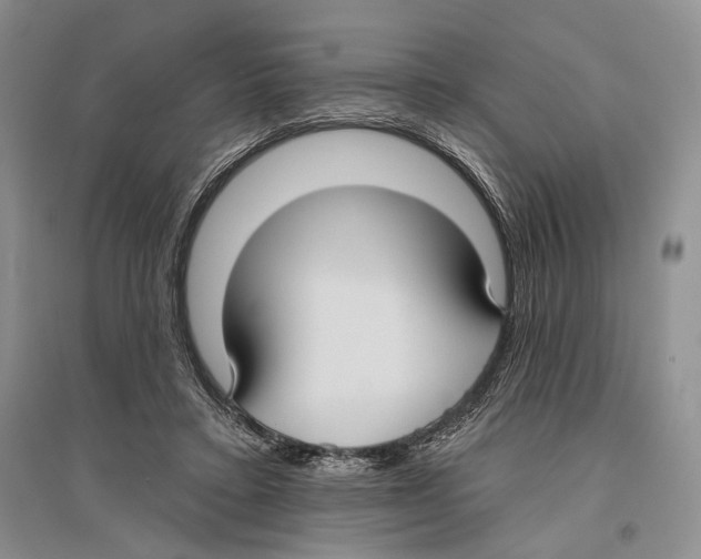 X0000096430403200802211152