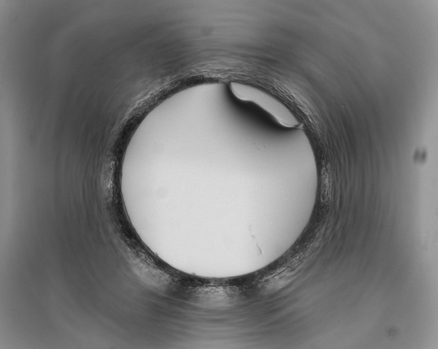 X0000096430404200802211152
