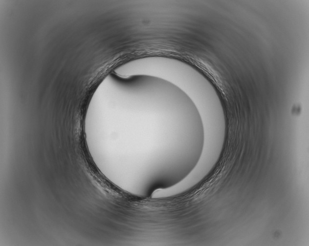 X0000096430405200802211152