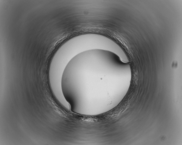 X0000096430407200802211152