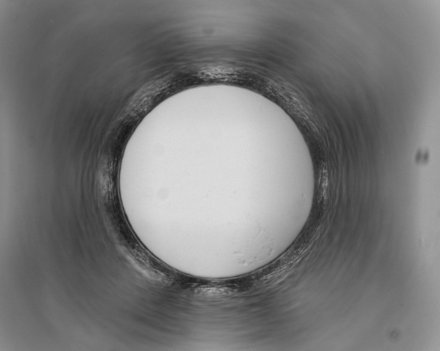 X0000096430408200802211152