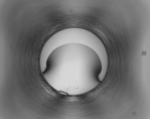 X0000096430409200802211152